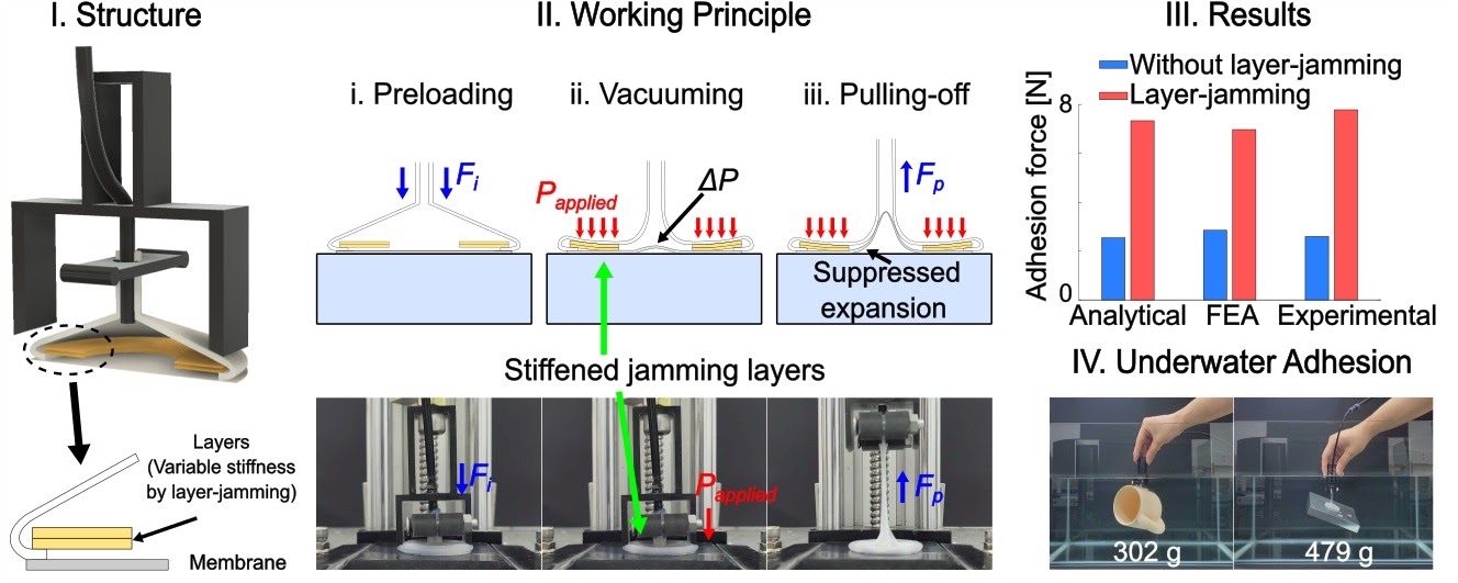 김민성 군의 "Layer-jamming soft gripper for improved stiffness control and underwater adhesion" 논문이 Extreme Mechanics Letters에 게재되었습니다. 축하합니다!